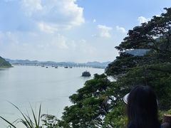 -羚羊峡古栈道森林公园