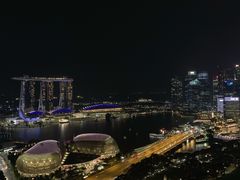 -新加坡瑞士史丹福酒店