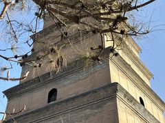 -大慈恩寺(大雁塔)