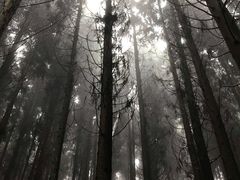-山王坪喀斯特国家生态公园