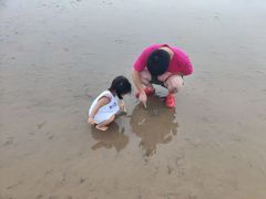 -奉贤海滩