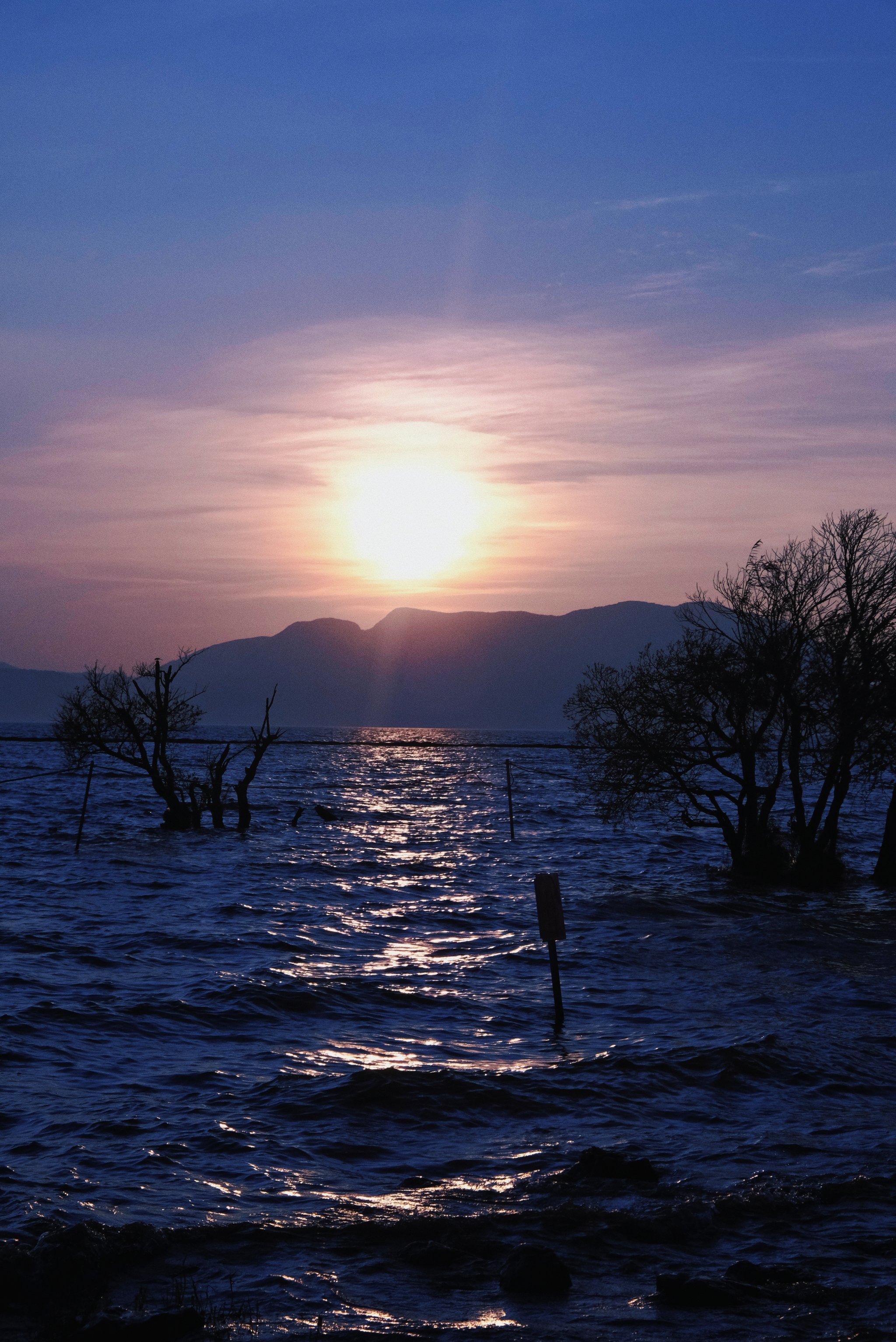 王官湿地图片