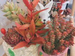 -浔岚云舍mist静谧观景美宿(丽江古城店)