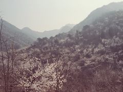 -天源渔港农庄