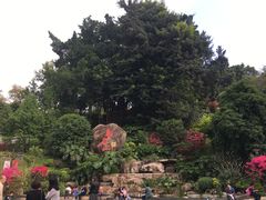 -乌山风景区