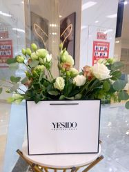 -YESIDO椰岛造型
