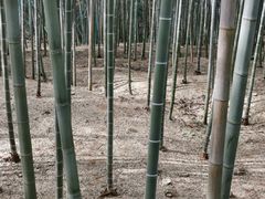 -陶祖圣境风景区