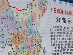 -成都动物园