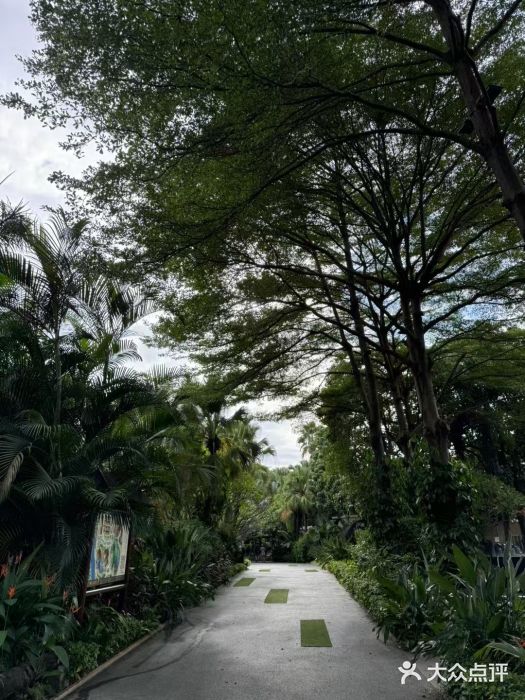 厦门日月谷温泉渡假村图片