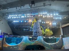 -西雅图水族馆