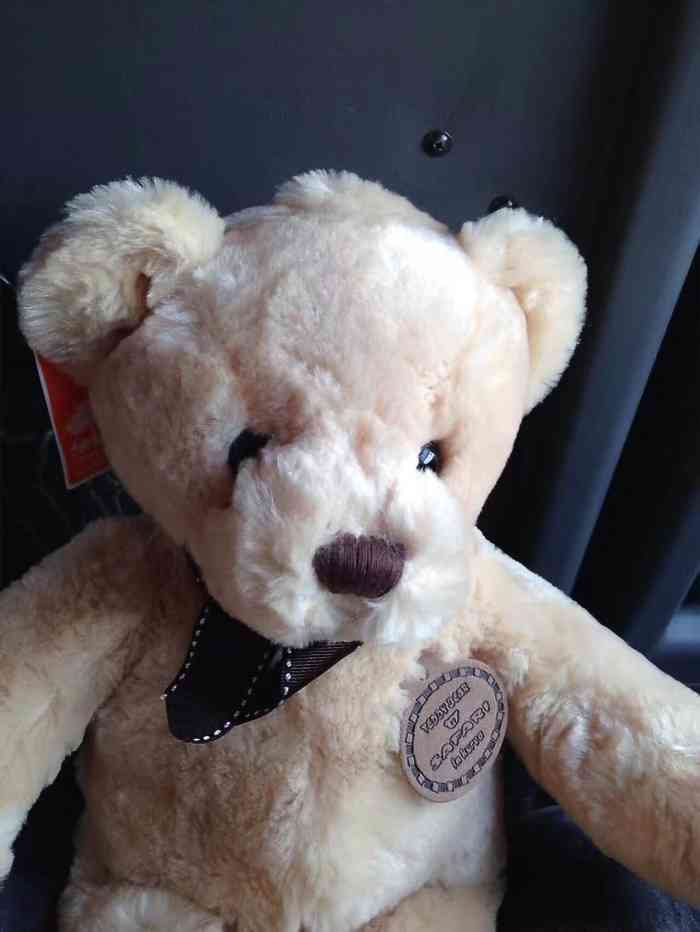 小时候看韩剧《宫》就很想来这里看看,真的好可爱,我也有自己的小熊了