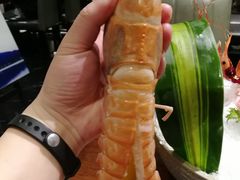 鳌虾刺身-九井澤精致料理(金茂店)