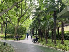 -徐家汇源景区-衡山公园