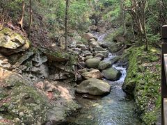 -祁门牯牛降观音堂风景区