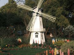 -上海共青森林公园