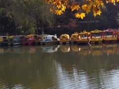 -泰州凤城河风景区-泰山公园