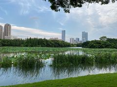 -艾溪湖湿地公园
