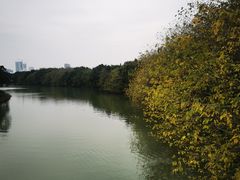 -海珠湖公园