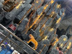 -兴芮温泉度假区