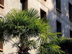 -浙江大学(玉泉校区)