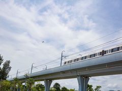 -宝安西湾红树林湿地公园