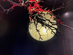 -沅江水·湖南家宴(珠江新城高德置地秋广场店)