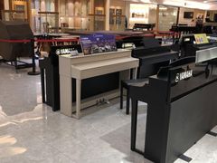 -知音艺术教育培训·钢琴培训·音乐培训(河西金鹰世界校区)