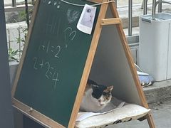 -转山咖啡(松柏社区店)