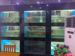 -全乐鱼馆·淳牌有机鱼直营店