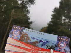 -白草畔自然风景区