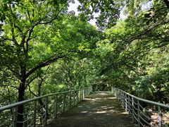 -宝岩生态观光园