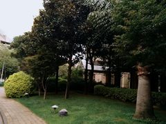 -昆明洲际酒店