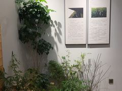 -十二舍·湯物素煮(江泰潤政店)