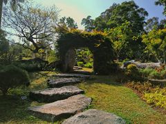-东莞植物园