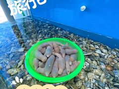 -港畔赶海蒸汽海鲜烧烤自助(仙螺岛店)