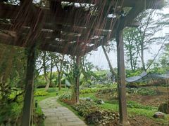 -东莞植物园
