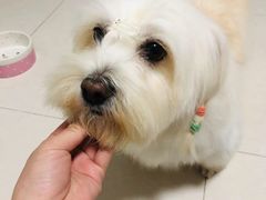 -美联众合24小时·皮肤科·外科·全科诊疗中心(华苑分院)