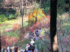 -广州市白云山风景名胜区