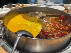 -青瓷火锅料理(西单大悦城店)