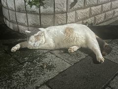 -肥姐美食(同福中路店)