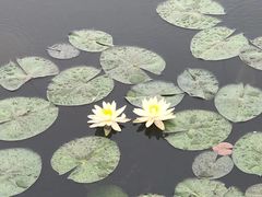 -绿堤公园