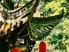 -石台牯牛降景区