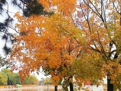 -长春世界雕塑园冰雪艺术天地