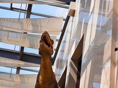 -安徽省地质博物馆