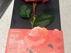 -海底捞火锅(巴黎春天浦建店)