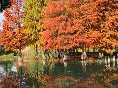 景点-白塘生态植物园