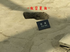 景点-金沙遗址博物馆
