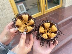 -宾朋海鲜特色美食餐厅·纯手工鲅鱼水饺(兴海路店)