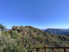 -大岭沟猕猴桃谷风景区