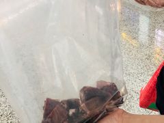 -老四川(T3航站楼F指廊店)